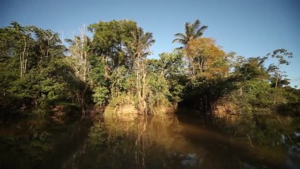 Båttur på floden Amazonas — Stockvideo