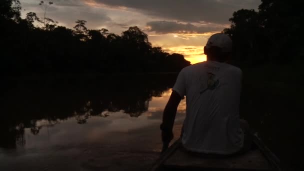 Paddeling With Canoe On Amazon River — Stock Video