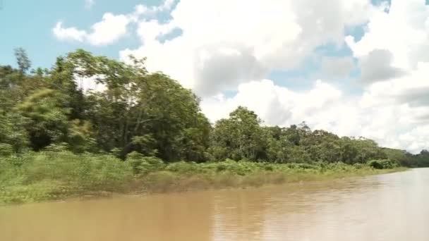 Schifffahrt auf dem Amazonas — Stockvideo