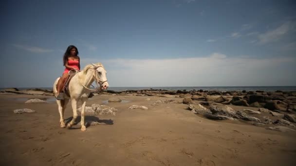 Жінка верхи на коні — стокове відео