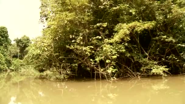 Boat trip at the Amazon river — Stock Video