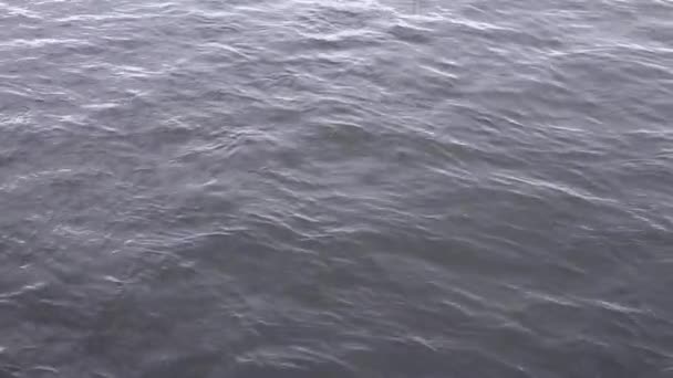 Vatten bakgrund — Stockvideo