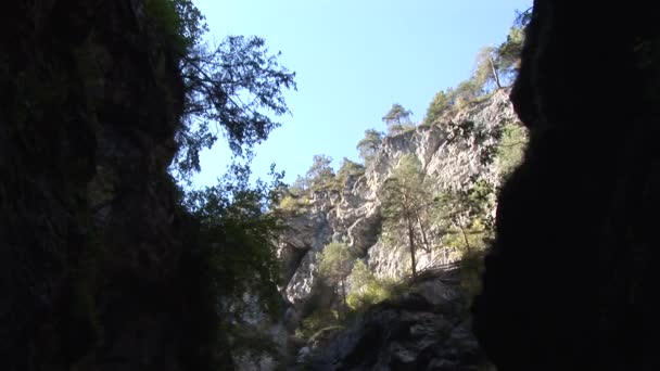 Canyon delle Alpi, austria — Video Stock