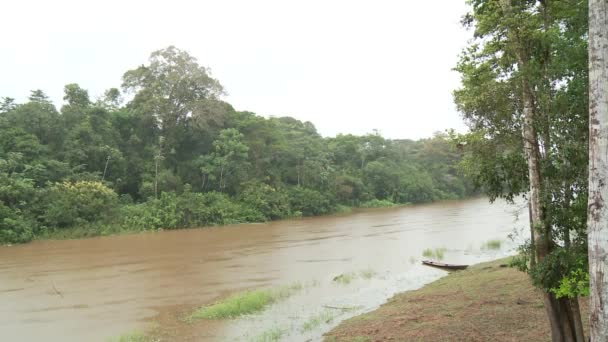 Jour de pluie en Amérique du Sud — Video