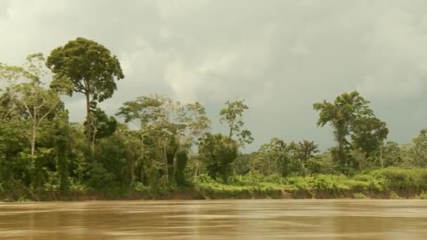 Boat trip at the Amazon river — Stock Video