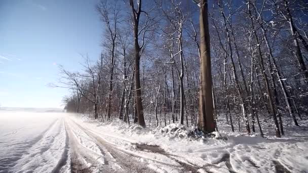 Paisagem inverno — Vídeo de Stock