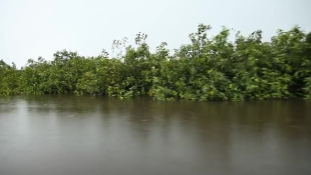 Bootsfahrt auf dem Amazonas — Stockvideo