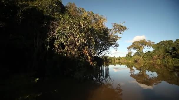 在亚马逊河上泛舟 — 图库视频影像