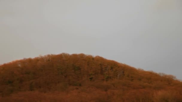 Arc-en-ciel sur la forêt en automne — Video