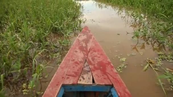 Морська прогулянка на березі річки Амазонки — стокове відео