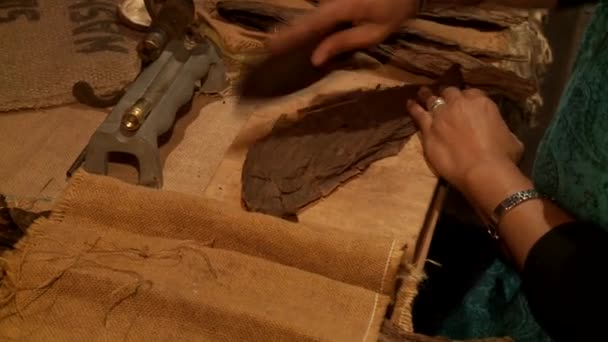 Woman manufacturing cigars — Stock Video