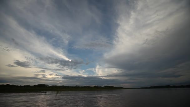 Поездка на лодке по Амазонке — стоковое видео