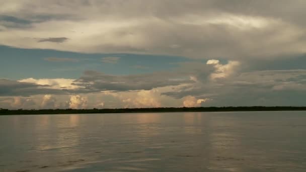 Passeio de barco no rio Amazonas — Vídeo de Stock