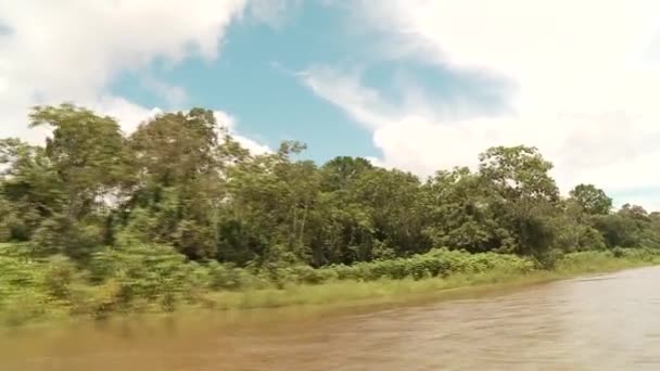 Boat trip at the Amazon river — Stock Video