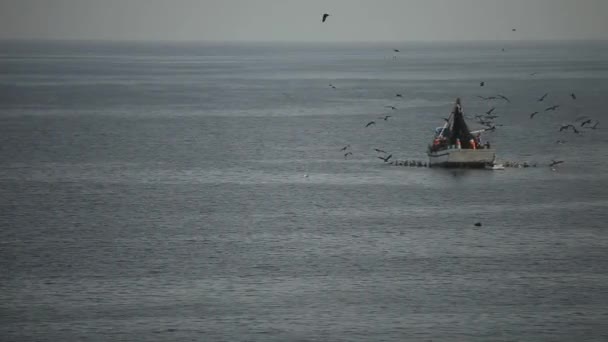 Fischerboot es den Ozean, Peru — Stockvideo