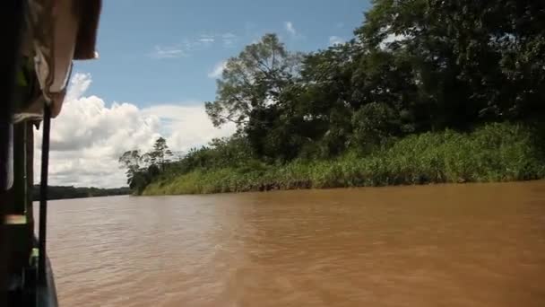 Bootsfahrt auf dem Amazonas — Stockvideo