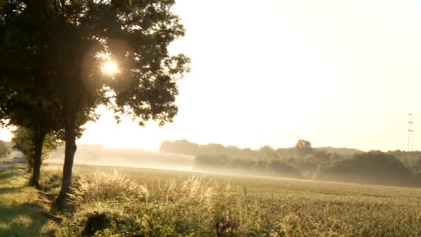 Paisagem rural — Vídeo de Stock