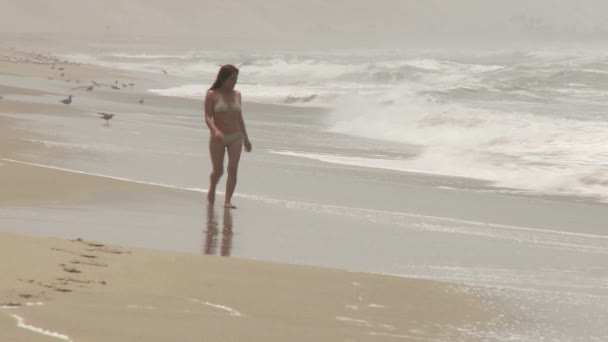 Mujer en la playa — Vídeo de stock