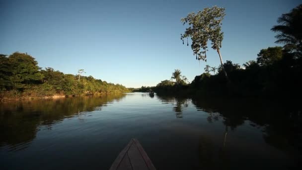 Bootsfahrt auf dem Amazonas — Stockvideo