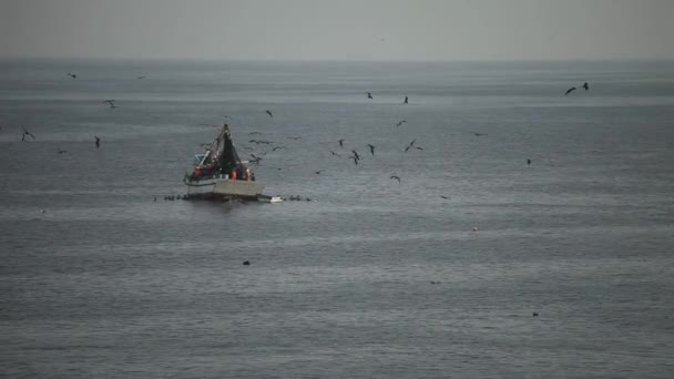 Bateau de pêche il l'océan, Pérou — Video