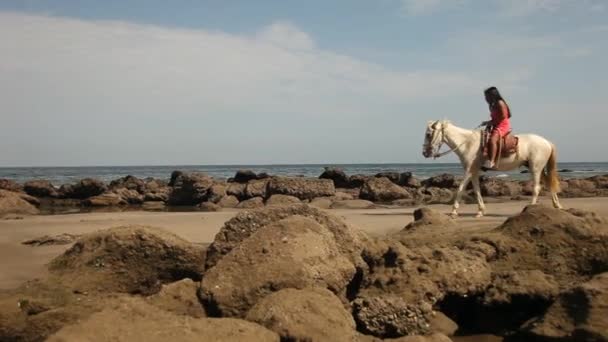 Mujer montando un caballo — Vídeo de stock