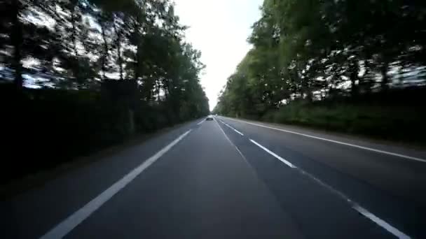 Carro dirigindo através da floresta — Vídeo de Stock