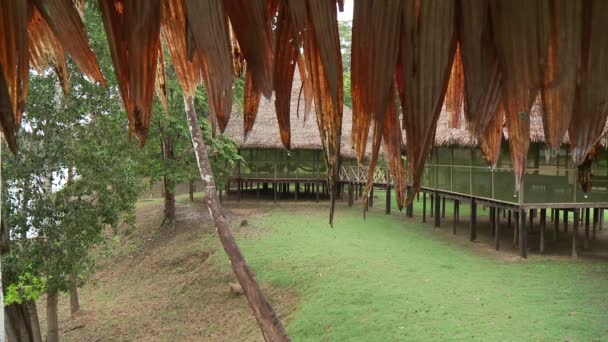 Люди отдыхают в Hammock In Lodge в тропических лесах — стоковое видео