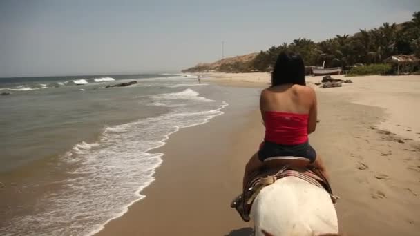 Frau reitet auf Pferd — Stockvideo