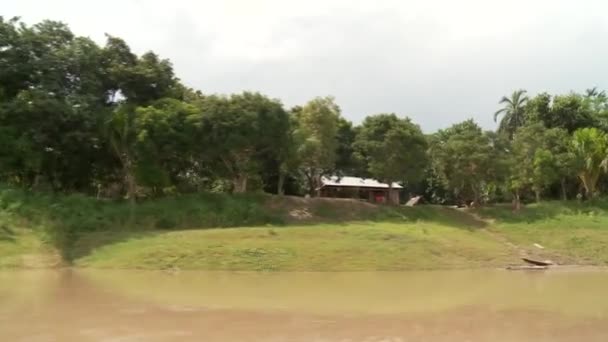 Passeio de barco no rio Amazonas — Vídeo de Stock