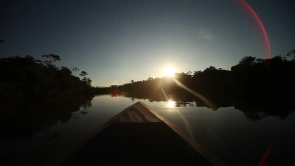 Az amazon folyó hajókiránduláson — Stock videók