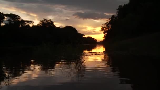 Canoe trip on the Amazon river — Stock Video