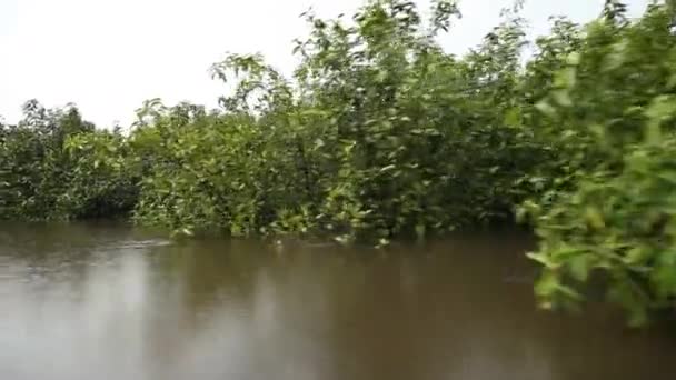 Boottocht op de Amazone-rivier — Stockvideo