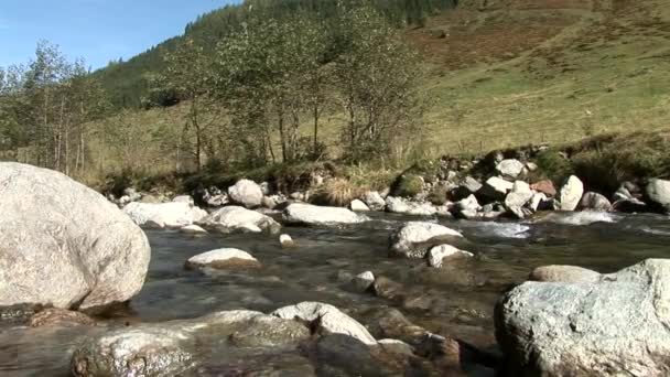 Floden i österrikiska Alperna — Stockvideo