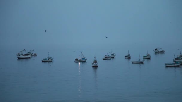 Fishing boats in the ocean — Stock Video