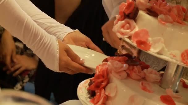 Novia tomando pastel de boda — Vídeos de Stock