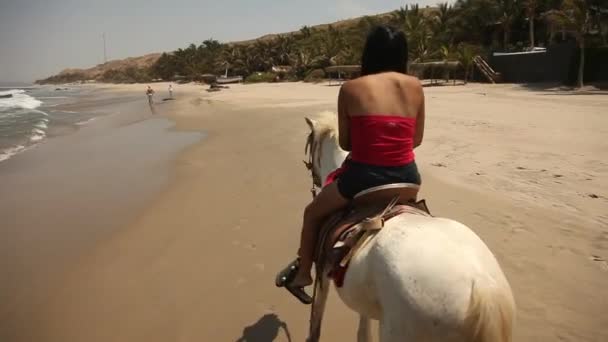 Mujer montando un caballo — Vídeo de stock