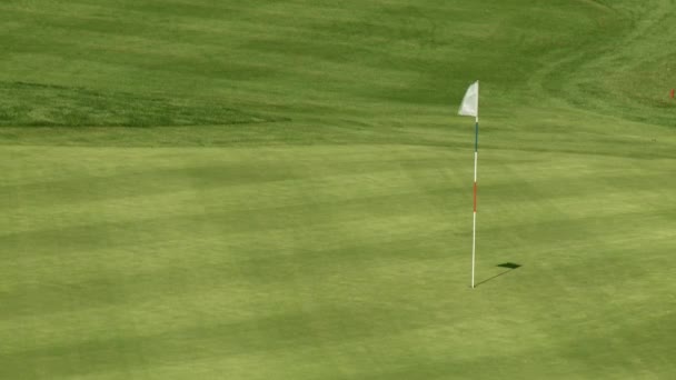 Pole golfowe — Wideo stockowe