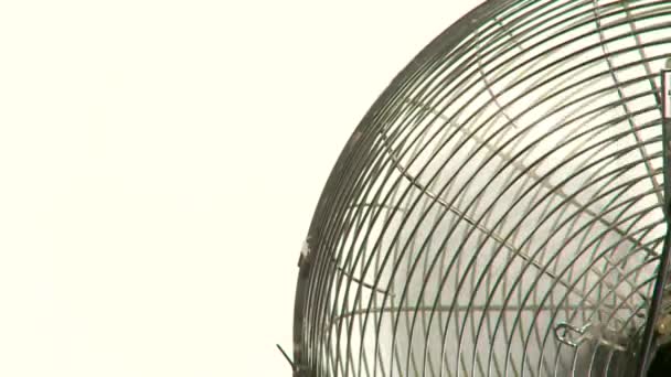 Fan on white background — Stock Video