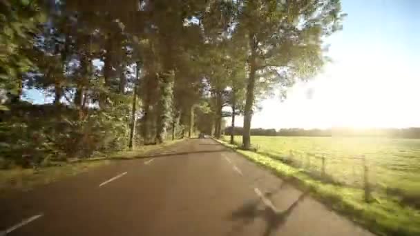 Car driving through  forest — Stock Video