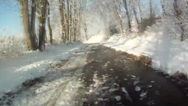 Körning i snö landskap — Stockvideo