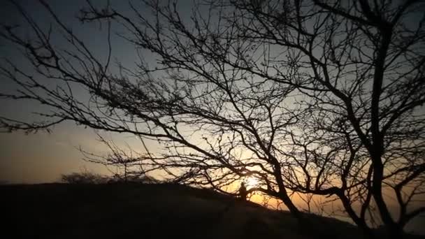 Solnedgång vid havet — Stockvideo