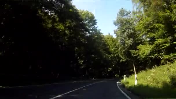 Condução na floresta — Vídeo de Stock