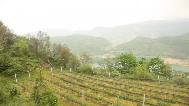 Lago Caldaro en el sur del Tirol, Italia — Vídeo de stock