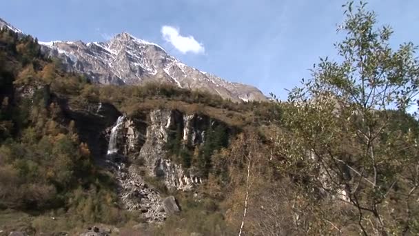 奥地利阿尔卑斯山中的瀑布 — 图库视频影像