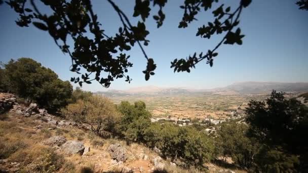 Altopiano di Lasithi a Creta — Video Stock