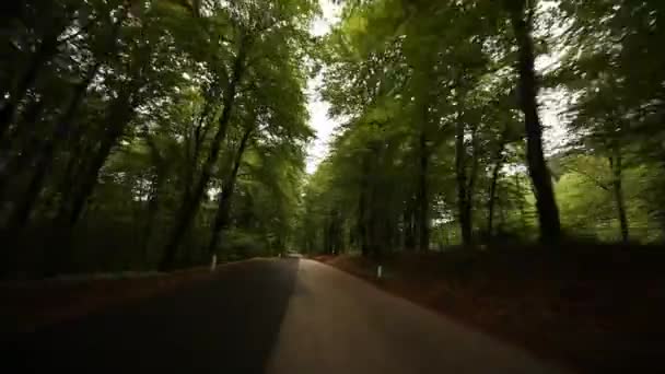 Wald fahren in Italien — Stockvideo