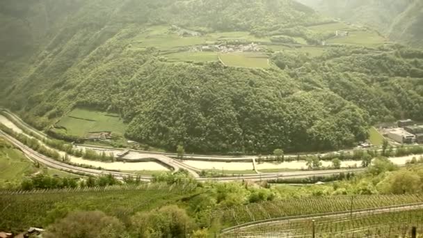 Cultivo de vid en el sur del Tirol — Vídeos de Stock