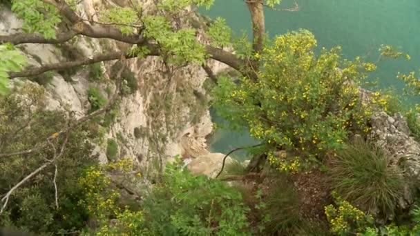 Lago di Garda — Video Stock