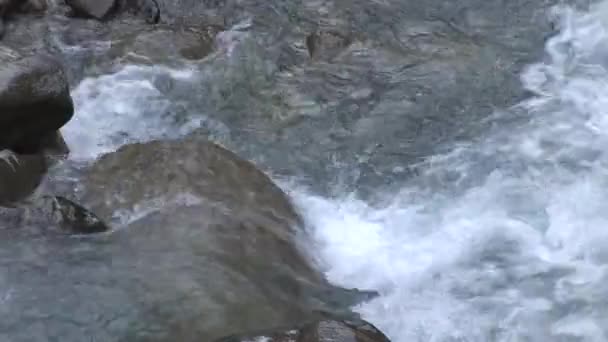 River in the Austrian alps — Stock Video
