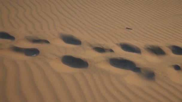 Desert with dunes in Ica — Stock Video